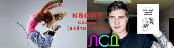 прущие грибы Алексин