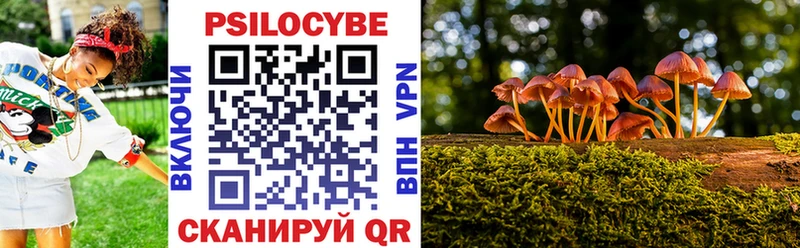 Галлюциногенные грибы Psilocybe  Петров Вал 